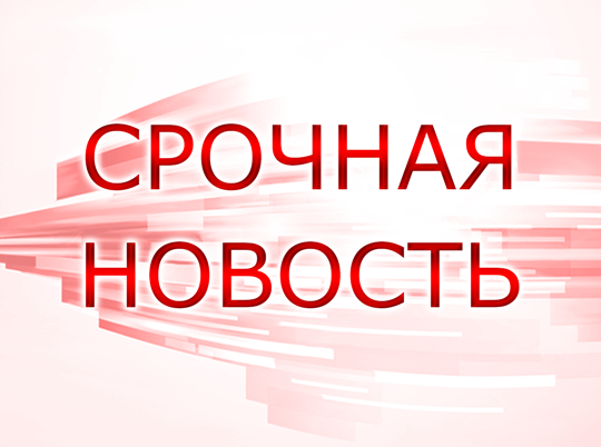 За пост президента Шри-Ланки будут бороться три кандидата