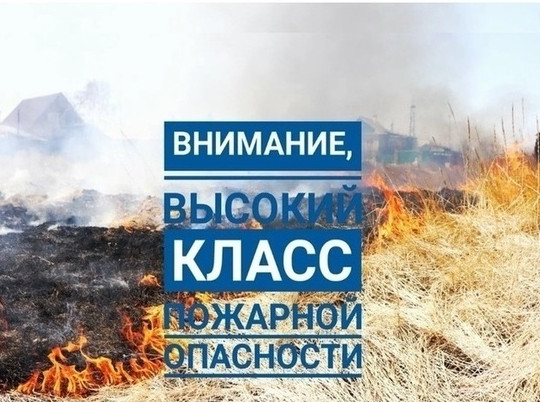 Жара свое берет: еще в двух районах Костромской области вводится строгий противопожарный режим